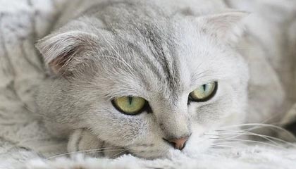 深入探索：每日大赛背后的时间线蕴意