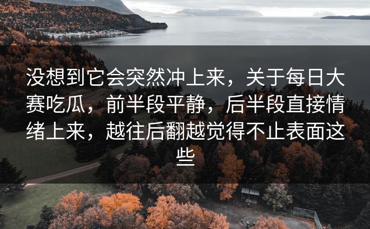 没想到它会突然冲上来，关于每日大赛吃瓜，前半段平静，后半段直接情绪上来，越往后翻越觉得不止表面这些