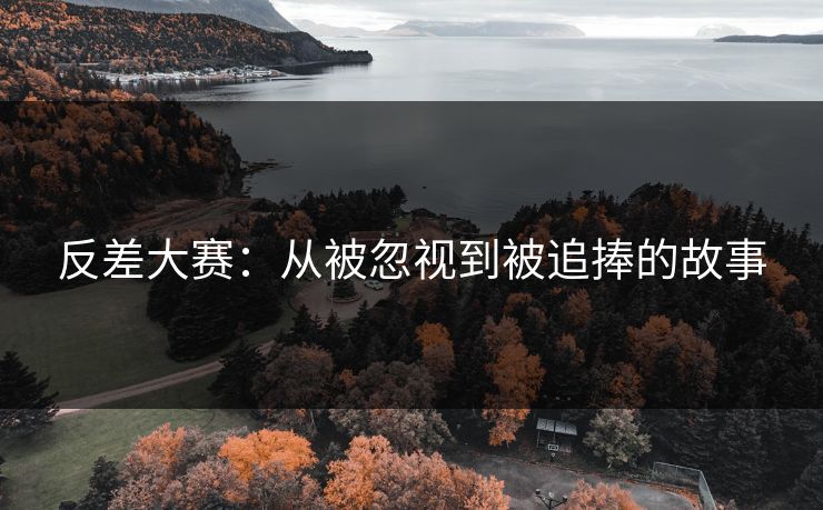 反差大赛：从被忽视到被追捧的故事